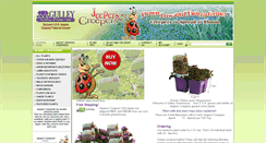 Desktop Screenshot of jeeperscreepersusa.com
